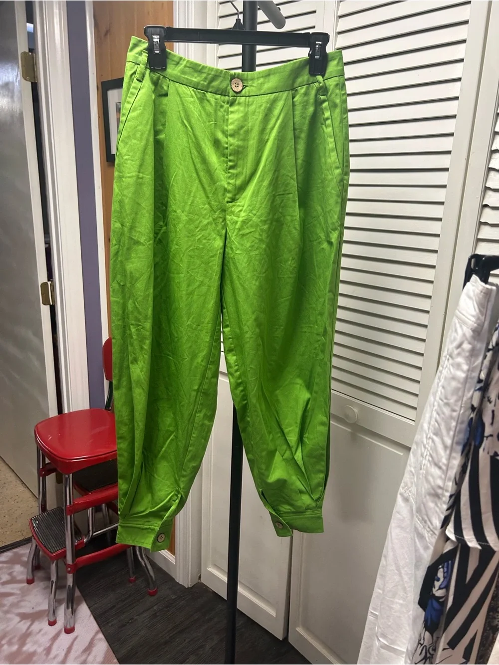 Nwot High-Waist Olive Green Pleated Ankle Pants